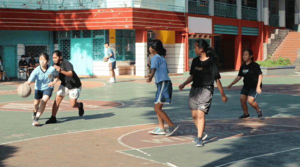 Basket